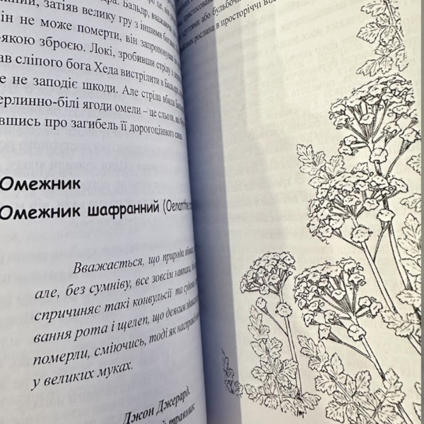 ОТРУТИ І ПРОКЛЯТТЯ. ФЕЗ ІНКРАЙТ