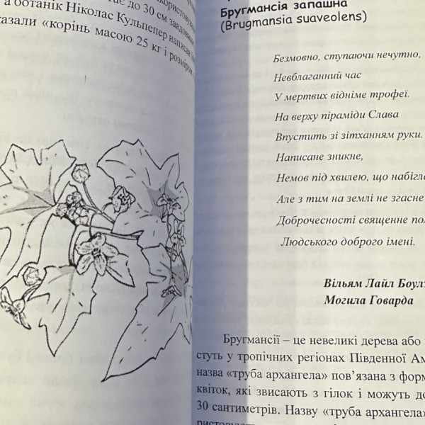 ОТРУТИ І ПРОКЛЯТТЯ. ФЕЗ ІНКРАЙТ