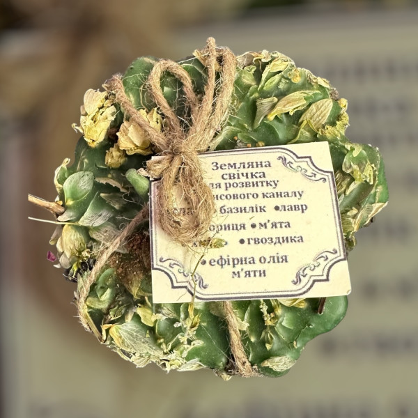 ГРОШІ, ЗЕМЛЯНА СВІЧКА З ПРОГРАМОЮ